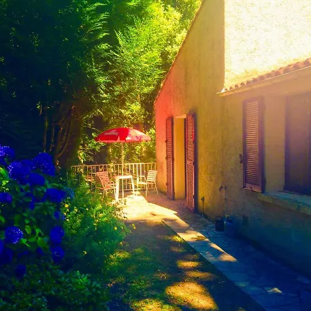 Duplex 1 Des Montagnès Appartamento Mazamet